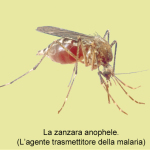 Malaria zanza